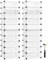 SONGMICS Zapatero Modular con 10 Compartimentos Cajas, Juego de 2, Estantería DIY de Plástico, con Puerta, con Martillo, Blanco LPC10W01