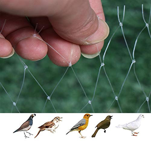 APOE Filet Anti Oiseaux en Maille Filet de Protection Jardin, Filet Anti Pigeon est Idéal pour Prévenir Les Oiseaux et Les Gros Insectes 3 × 7m