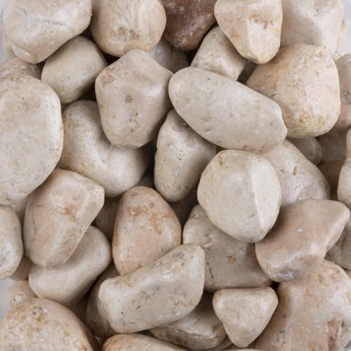 Natursteine, ca. 15-25 mm, 1 kg Beutel, viele Farben erhältlich | Dekosteine | Dekosand | Dekokies | Ziersteine | Kieselsteine | Bastel Steine | Dekogranulat | Streudeko | Füllmaterial (rosa)