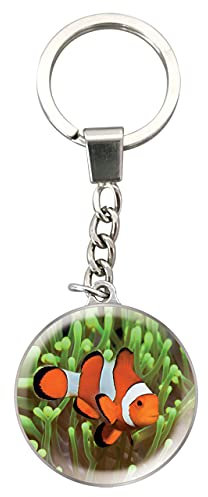 Magnidome Deluxebase Keychains - Perroquet de Porte-clés Breloque en Verre de Cristal. Porte-clés photo d'oiseau tropical en forme de dôme avec une chaîne en acier inoxydable