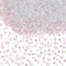 SUNNYCLUE 69 Gram Bingsu Beads Bulk Clear Crunchy Beads Iridescent Crispy Lightweight Soft Tube Bead for DIY Crafts Vase Filling Wedding Fishbowl Table Decoration Supplies Bead Assortments Supplies