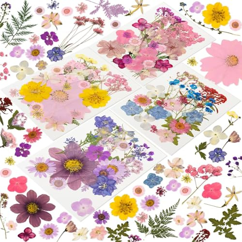 Tastetreasure 204 STK. Echt Natürliche Getrocknete Pressblumen & Blätter Set Lila-Rosa Mix für Resin-Formen, Kerzenherstellung, Nail Art, Seifen DIY & Handyhüllen Vakuumverpackt Nicht essbar