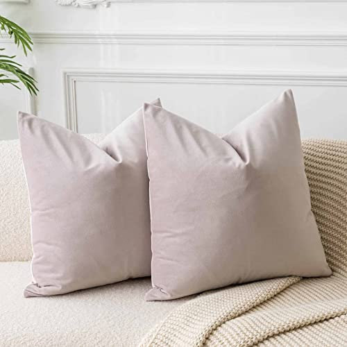 JUSPURBET Champagner Samt-Kissenbezüge 45cmx45cm 2er-Set für Wohnzimmer Couch Sofa Schlafzimmer Dekorative Quadratische Feste Weiche Kissenhüllen mit unsichtbarem Reißverschluss