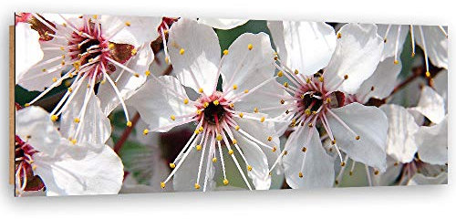 Wandbild XXL Kirschblüten Deko Kunst Bilder Natur Weiß 150x60 cm