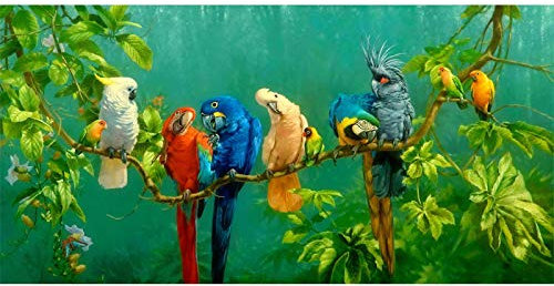 ZMFBHFBH Moderne Dekorative Drucke Bilder Bunte Papageien Tier Malerei Leinwand Malerei Wandkunstdrucke Für Wohnzimmer 55x110cm (22x43in) Mit Rahmen