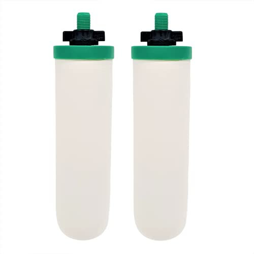 AquaHouse Cartouches filtrantes à eau par gravité avec filtration de fluorure et de métaux lourds (paquet de 2)