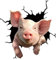 3D Lustiger Schweine Auto Aufkleber,Asudaro 4Pcs Wasserdicht Tier Schwein Wandaufkleber Schwein Auto Aufkleber Büro Aufkleber Wandtattoos Selbstklebende Autoaufkleber Fensteraufkleber,30x30 cm,Typ 3