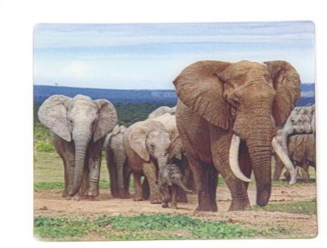 3D Magnet Elefanten Familie