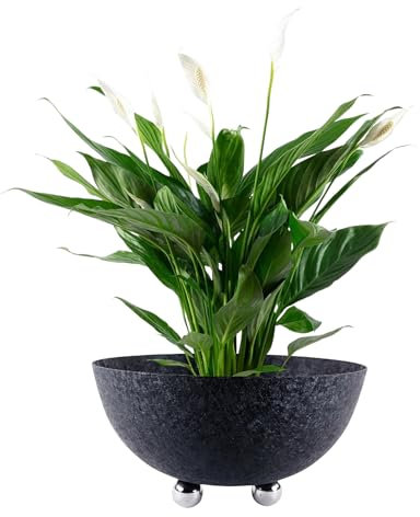Trends for living Edle Dekoschale Schwarz mit Edelstahlfüßen – Modernes Design in 4 Größen (20,5x11,5cm)
