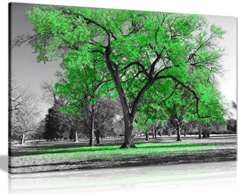 Large Tree Green Leaves Black White Nature Canvas Wall Art Picture Print Home Decor 91x61cm (36x24in)