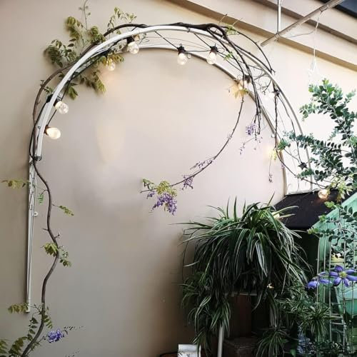 GYDUHYE Metall-Gartenlaube, Pflanzenstütze, Wandmontage, Gartenbogen für Tür, Fenster, Wand, Dekoration, für Efeu, Rosen, Reben, Gurken, Clematis (Größe: 150 cm)