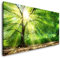 Baum mit Sonnenstrahlen im Winter 120x 60cm Panorama Leinwand Bild XXL Format Wandbilder Wohnzimmer Wohnung Deko Kunstdrucke