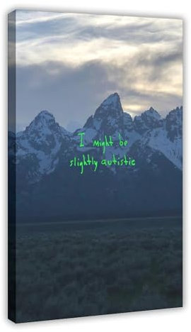 BAVIEN Kanye West Poster Ye Album Cover Poster Rap-Musikposter Wandkunst Raumdekor Druck Leinwand Poster für Zimmer Ästhetischer Rahmen: 50 x 75 cm