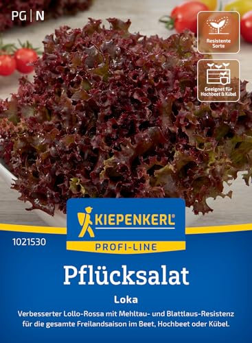 Kiepenkerl Profi-Line Pflücksalatsamen Loka 1021530 – Anbausicherer Lollo-Rossa mit glänzend roten Blättern, schossfest & resistent, für die gesamte Freilandsaison
