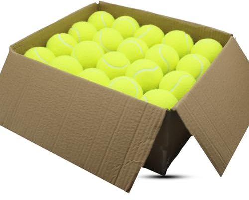 SHYUJAJIE Pelotas de tenis, paquete de 40 pelotas de tenis de entrenamiento, tenis de alta elasticidad para principiantes, pelotas de ejercicio para perros y mascotas