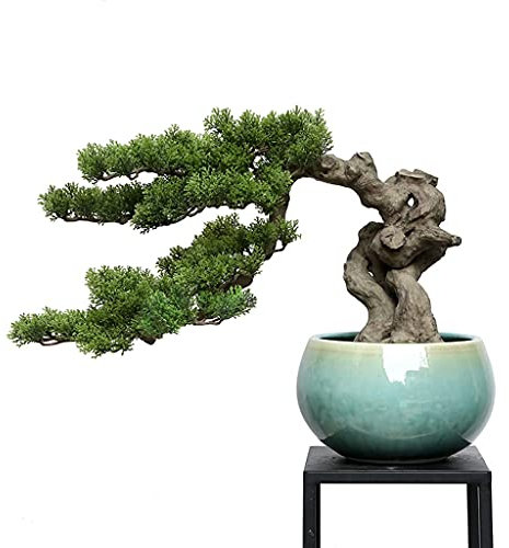 Árbol bonsái artificial, tuya artificial, planta artificial en maceta, pino acogedor para sala de estar, bonsái pequeño, forma retorcida creativa, decoración para mesa de centro, exhibición de escrit