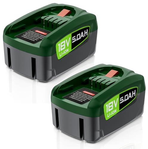 5000mAh 18V Li-ion Ersatzakku für Bosch Akku PBA PSB PSR Haus und Garten, 5.0Ah Lithium Akku für Gloria Akku Werkzeuge (2 Stück)