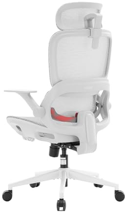 SIHOO B100 Lite Chaise de bureau ergonomique