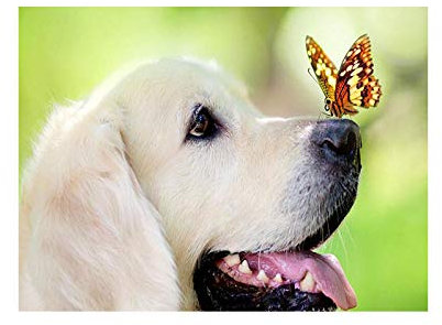 DIY Large Wooden Jigsaw Puzzles for Adults 1000 Pieces Handwork Golden Retriever Decor Picture of Room Decor Christmas Gifts