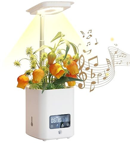 Modern Wall Clock, Minimalist Desk Clock, Hydroponic Indoor Smart Planter with LED Grow Light, Table Desk Lamp, Clock, and Humidifier Ideal