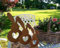 ARTTEC Hase Stecker (Rostdeko) (3er Set) - hochwertige Gartendeko aus Metall - Rost Deko für Garten, Balkon & Terasse - Metall Deko zum Aufstellen - Made in Germany