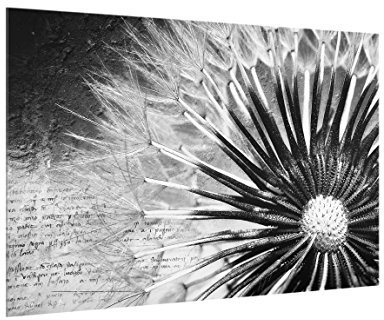 Bilderwelten Spritzschutz Glas - Pusteblume Schwarz & Weiß - Quer 2:3, HxB: 40cm x 60cm