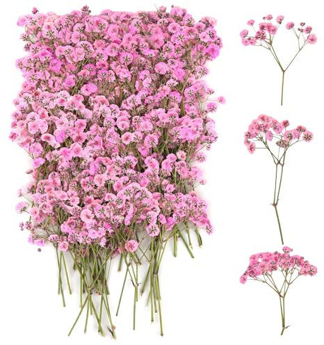 100 Pièces Gypsophile Séché, Fleurs Séchées Roses, Mini Fleur Sechees Decoration, Fleurs Sechees Artisanales, Fleurs Pressées Séchées pour DIY Scrapbooking, Signets