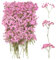 100 Stück Schleierkraut Getrocknet, Trockenblumen Schleierkraut Rosa, Trockenblumen zum Basteln, Getrocknete Blumen Klein für DIY Fotorahmen, Lesezeichen, Grußkarten (Pink)