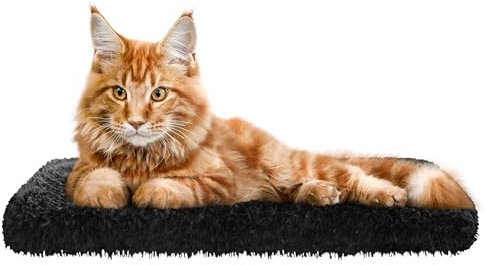 Katzen Fensterliege Fensterbank rutschfest - Katzenbett Fensterbank 50x25 cm - Weich & Kuschelig - Fensterliege für Katzen Selbstheizende Katzendecke - Waschbarer Bezug (Schwarz)