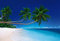 Papier Peint poster panoramique EXOTIQUE 4 x 2,70 m | Déco et photo murale XXL Qualité HD Scenolia