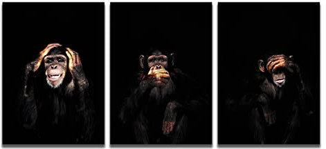 JIUJIUJIU Lustige Affen Poster Wandbild Kunstwerk Affen Leinwand Drucke Bild 3 Stück Wandkunst Malerei für Wohnzimmer Home Decoration Cs3-00516 60 * 90cm*3
