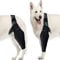 Fabater Ellenbogenschutz für Hunde, Ellenbogenbandage für Hunde, Ellenbogen- und Schulterstütze für Hunde, Kniebandage für Hunde bei Dysplasie, Arthritis, Dekubitus, Schulterluxation (XL)