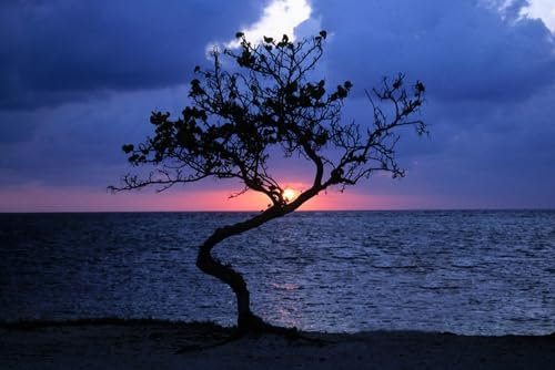 Puzzle für Erwachsene, 1000 Teile, Sonnenuntergang über dem Meer, Blackbeards Caye Belize, Foto, Fotografie, Familie, lustig, herausfordernd, Urlaubspuzzles für Erwachsene, Puzzle, Geschenk für