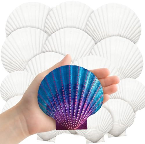 Auiremrti 18 coquilles Saint-Jacques Naturelles, 2 Tailles Coquilles Blanches en Gros Paquet pour Bricolage, Peinture, pâtisserie et décoration d'été, Plage