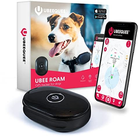 UBEE ROAM GPS Tracker for Dogs - Lightweight 22g Dog Tracker Devices for Small Dogs - Low Cost, Waterproof & Real Time Tracking with Free & Shareable App - Flexible Subscriptions with UK Support