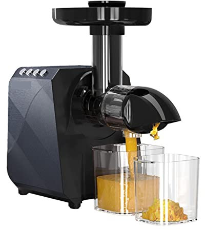 DieffematicJBJ Batidora Portatil 250W Slow Juicer Masticating Juice Extractor for Vegetable Screw Cold Press Fresh Beet Juice Electric Blender Home Appliance