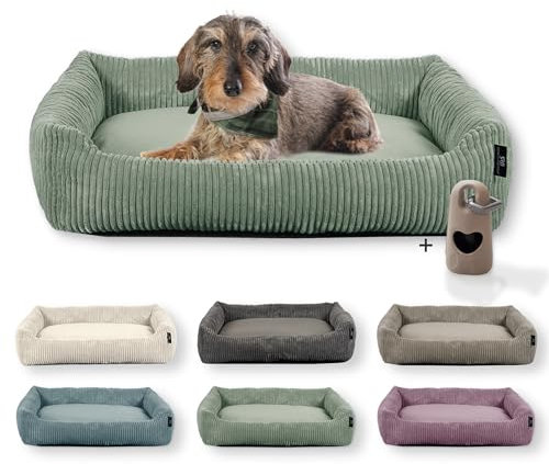 Rohrschneider Hundebett waschbar | für kleine und mittelgroße Hunde | mit Hundekissen Cord | 2 Größen (ca. 55x42 cm/ca. 70x50 cm) inkl. Gassibeutel (Salbei, Cordstoff breit)