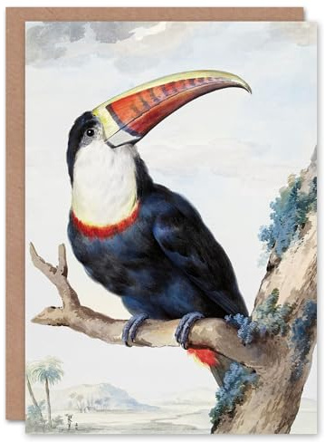 Artery8 Aert Schouman Art Card Red Billed Toucan Bird Painting