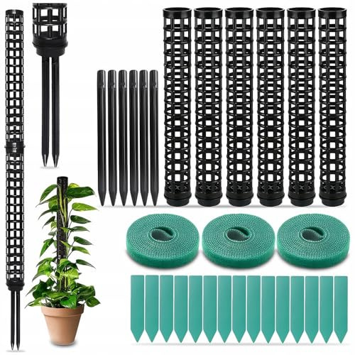 PLLYPE Monstera Lot de 6 tuteurs en plastique pour plantes grimpantes avec 15 étiquettes et 3 rouleaux de fermeture pour l'entraînement des plantes, noir