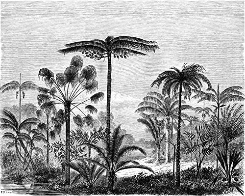 papier peint panoramique paysage tropical avec des palmiers noir et blanc 350 x 279 cm - ESTAhome