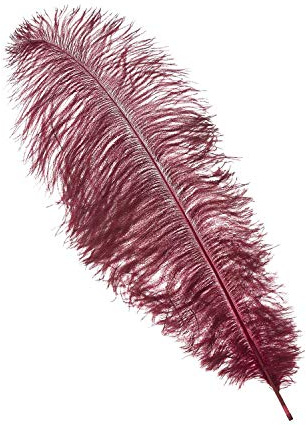 WedDecor Extra Large Burgundy Natural Ostrich Feathers 19-23 (50-60cm) Long for Wedding Centerpieces, Home, Decorating Costumes, Embellishment, Art & Craft, Parties (Pack of 5)