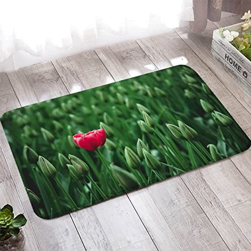 Taracarpet Teppich, Fußmatte Innen 60X90cm Rot Grün Knospenblume für Stark Frequentierte Bereiche Außerhalb des Hauses