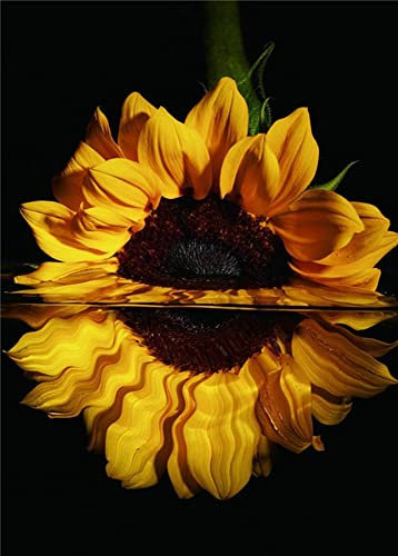 Diamond Painting Set, Bild mit Motiv Sonnenblume und Zubehör, Größe ca. 25 x 35 cm, Bastelset zum Malen mit Glitzersteinchen für Kinder ab 5 Jahren