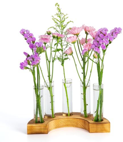 E-ROOM TREND Vermehrungsstation für Pflanzen/Propagation Station | Terrarium mit Holzständer | für Heimbüro Gartendekoration Geschenke Pflanzen Hydroponik (PTW500) | 5 Reagenzgläser Glas Vasen