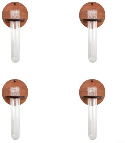 Lot de 4 supports muraux pour tubes à essai en bois à suspendre pour plantes aériennes et boutures, décoration en bois naturel et plastique pour salon, salle de bain, bureau