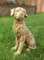 HomeZone Groß 35cm Rustik Holz Effekt Sitzen Labrador Hund Skulptur Treibholz Heim Garten Figur Rasen Statue Wetterfest Polyresin Material