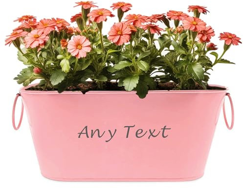 EDSG Personalised Plant Pot Engraved Metal Flower Pot Planter Garden Plant Pots Outdoor with Rings Gardening Gifts for Women Her Nanny Railing Balcony Anniversary Wedding Birthday (Pink, Design 1)