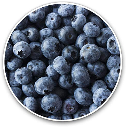 Sun World Plissee nach Maß, hochqualitative Wertarbeit, für Fenster & Türen, alle Größen, Maßanfertigung, Jalousie, Faltrollo (Farbe: Beige, Höhe: 211-220cm, Breite: 61-70cm)