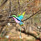 Kristall Anhänger Deko Regenbogen Sonnenfänger, Schmetterlinge Kolibri Kristall Prismenkugel Fensterdeko Hängend Regenbogen Maker Mit Kette, Kristallglaskugel Für Hausgarten Dekoration (Kolibri)