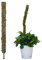 WIVAYE Biegbare Moosstange, 120 cm, Sphagnum, schmaler Waldmoosstab, echter Moosstab für Monstera-Pflanzen, Totem-Stange, Pflanzenstützen für Indoor- und Outdoor-Kletterpflanzen, Grün-1Stück(e)